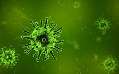 Coronavirus – digitale Besichtigungen statt Besichtigung vor Ort