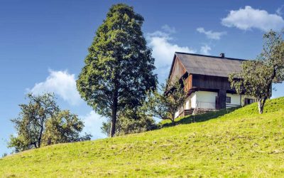 Landleben: Potenzial für bezahlbare Immobilien?